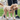 Finding the Perfect Balance: How Much Time Do You Really Need to Walk Your Dog?
