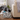 Dog peeking into a storage bin with dog pattern in a living room setting