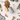 Pet food container with dog treats and toys on a wooden surface