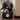 Dog playing with a black storage bin with a paw print on a wooden floor.