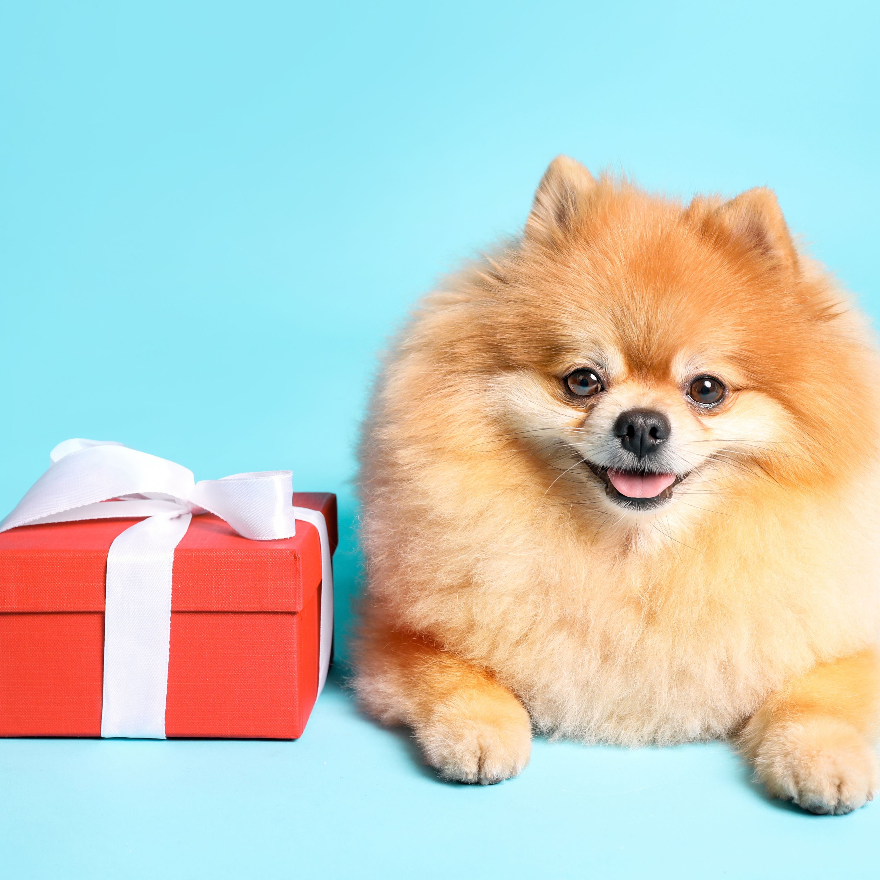 Gift Wrap available