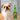 Weird Dog Toys, Beer Bottle Dog Toy, Beer Dog Toy