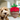 Funny Puppy Toys, Strawberry Dog Toy