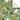 Pattern of various dogs on a green background with a folded paper sample.