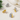Pair of gold and silver beetle-shaped earrings on a light background
