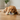 Dog lying on a wooden floor with a DRULY product in its mouth.