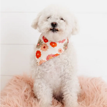 Load image into Gallery viewer, Floral Print Snap Back Dog Bandana