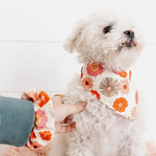 Load image into Gallery viewer, Matching Dog Bandana And Scrunchie For Women Set