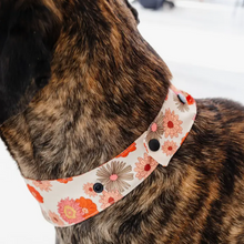 Load image into Gallery viewer, Snap Back Floral Print Colorful Dog Bandana