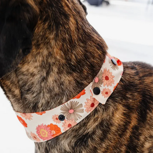 Snap Back Floral Print Colorful Dog Bandana