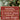 Red wooden sign with white text 'Santa, I hope you like dogs' against a blurred Christmas tree background.