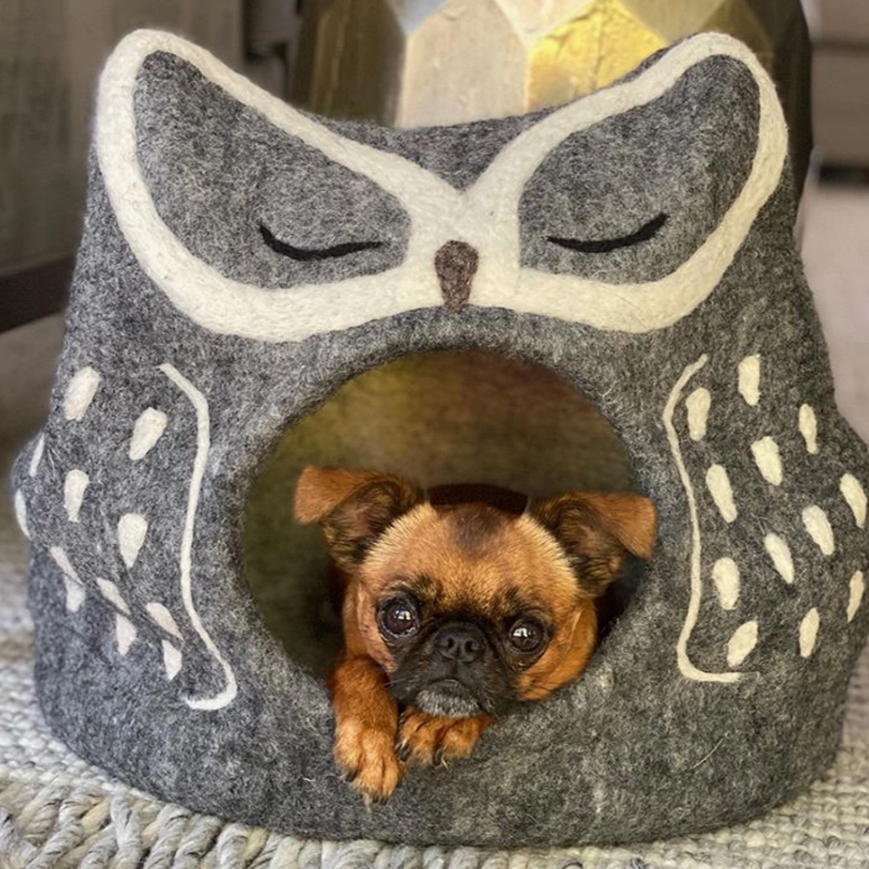 Cozy Pet Retreat: Enclosed grey wool dog cave with white accents.