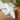 Cute dog-shaped plant waterer perched on ceramic spike