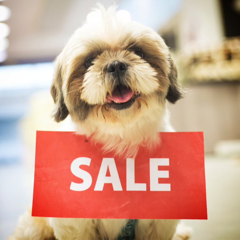 https://puppylovegifts.com/cdn/shop/files/dog_themed_gifts_on_sale_480x480@2x.png?v=1670018657