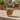 A ceramic dachshund-shaped planter in terracotta orange with cream spots, holding a small succulent, placed on a stone patio in an outdoor patio setting with wicker furniture in the background.