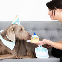 Load image into Gallery viewer, Puppy Birthday Party Kit With A Birthday Cake Dog Squeaky Toy A Bandana And A Dog Birthday Hat