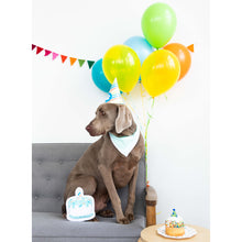 Load image into Gallery viewer, Dog Party Kit Featuring An Adjustable Bandana A Cake Squeaky Toy And A Dog Birthday Hat