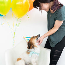 Load image into Gallery viewer, Puppy Party Kit Including A Birthday Dog Hat A Bandana And A Birthday Cake Squeaky Toy