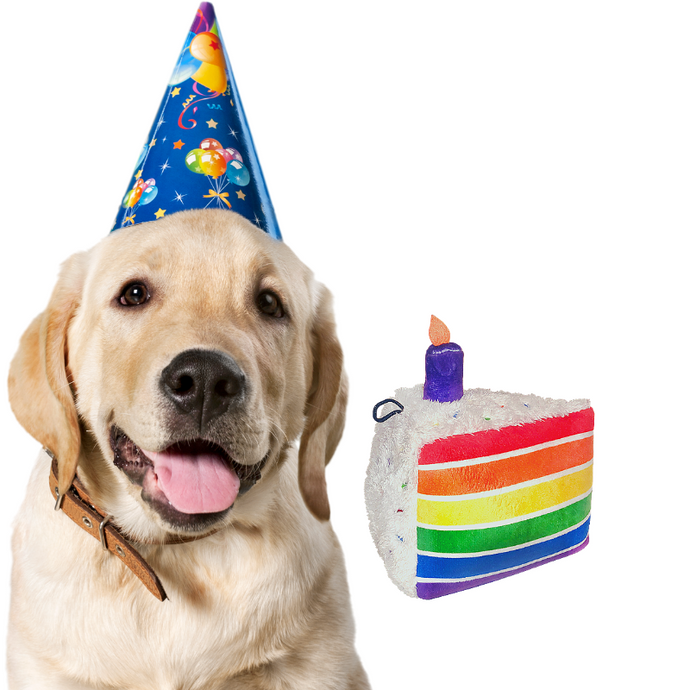 Dog Birthday Cake, Happy Birthday Dog Toy
