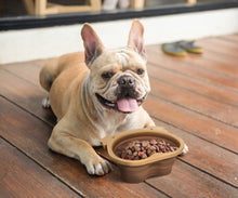 Load image into Gallery viewer, Foldable Dog Bowl for Food And Water