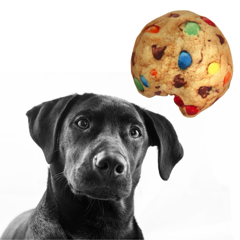 Funniest Dog Toys, Cookie Dog Toy