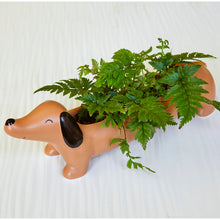 Load image into Gallery viewer, Weiner Dog Planter, Gift For People who Love Dachshunds