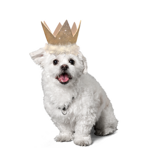 Funny Dog Costumes, Dog Crown Hat