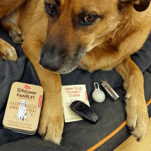 Dog Welcome Kit With An Identification Charm Dog Whistle Clicker Collar Light And New Dog Care Guide