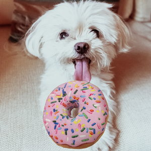 Large Donut Dog Toy, Plush Donut Dog Toy, Strawberry Donut Dog Toy