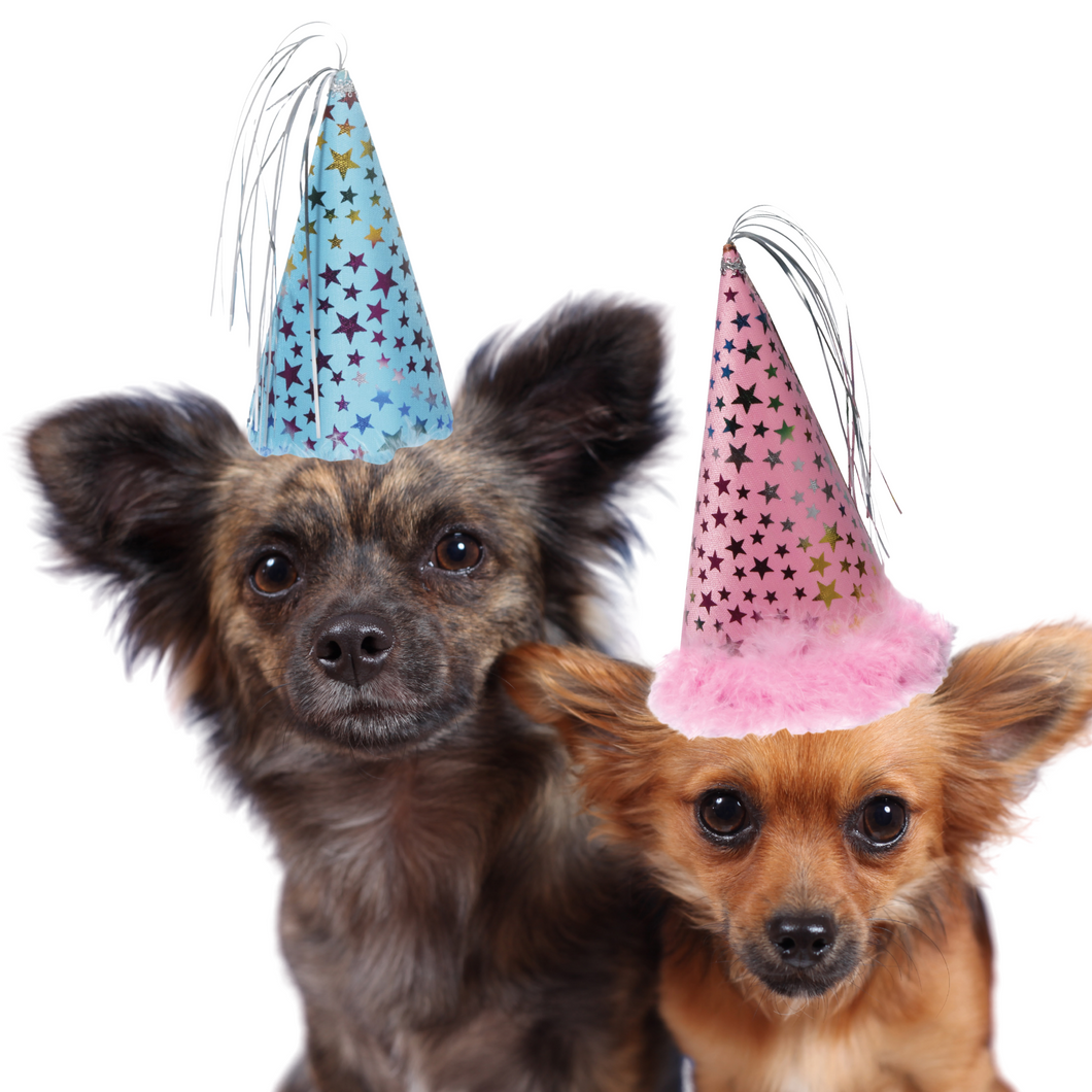 Dog Birthday Party Hats, Dog Party Hat With An Adjustable Strap