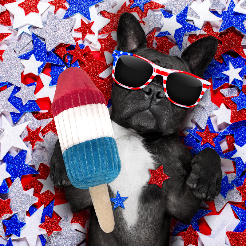 Popsicle 2024 dog toy