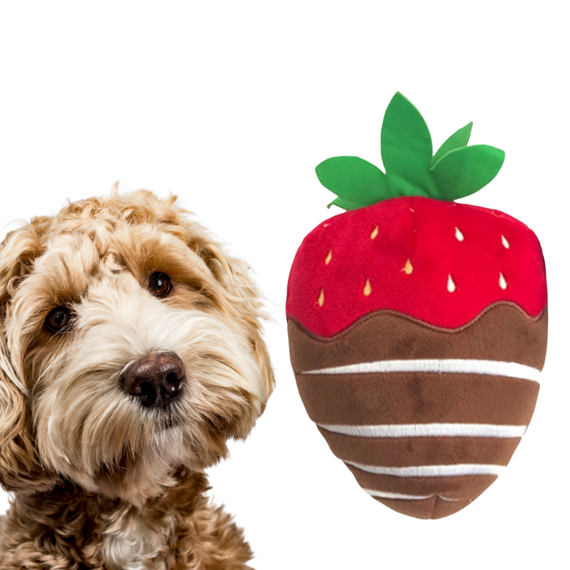 Funny Puppy Toys, Strawberry Dog Toy
