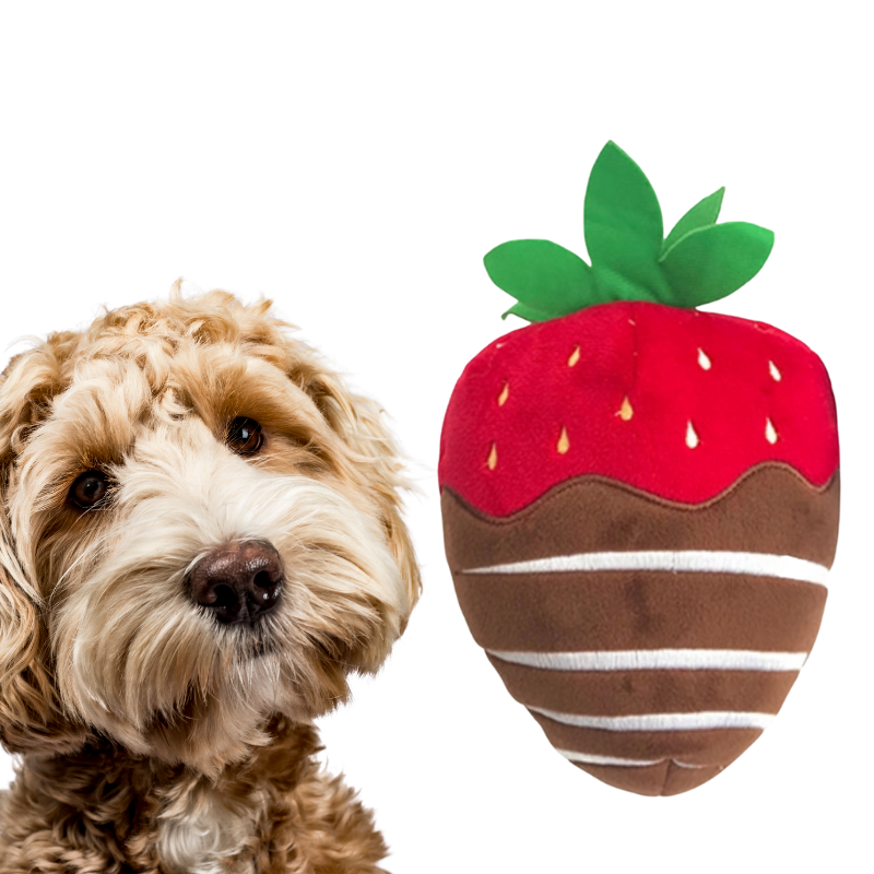 Strawberry dog outlet toy