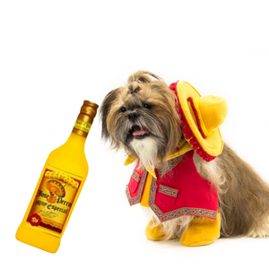 Plastic Bottle Dog Toy, Tequila Bottle Dog Toy